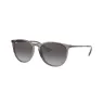 RAYBAN 4171 65138G 54