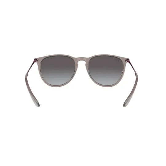 RAYBAN 4171 65138G 54