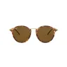 RAYBAN 2447 1160 49