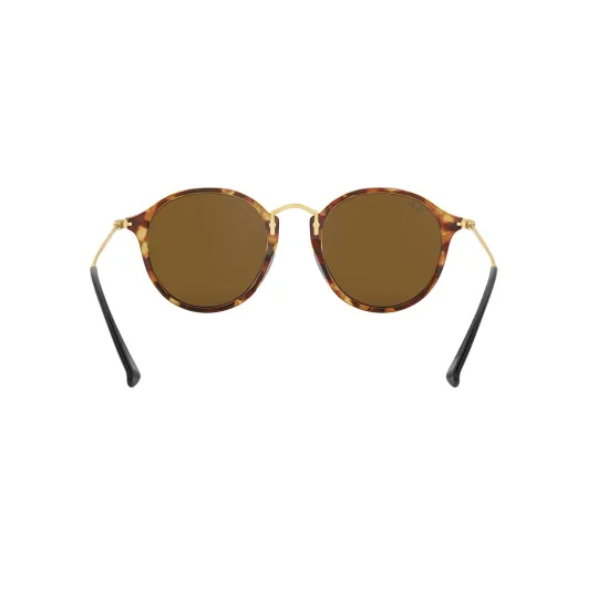 RAYBAN 2447 1160 49