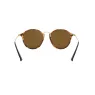 RAYBAN 2447 1160 49