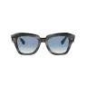 RAYBAN 2186 14043F 49