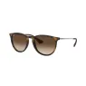 RAYBAN 4171L 865/13 54