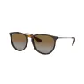 RAYBAN 4171L 710/T5 54
