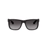 RAYBAN 4165L 601/8G 55
