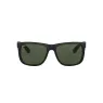 RAYBAN 4165L 601/71 55
