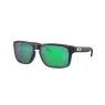 OAKLEY HOLBROOK 9102 E455