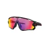 OAKLEY JAW BREAKER 9290 2031